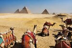 Kamelritt zu den Pyramiden von Gizeh