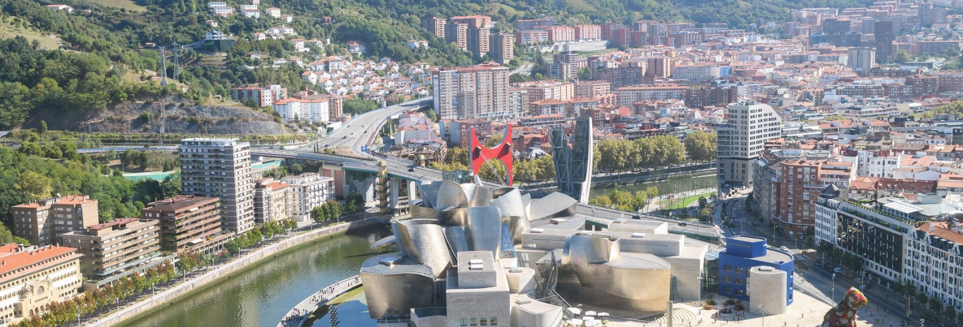 Blick auf Bilbao und das Guggenheim Museum